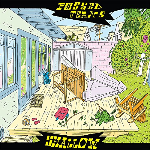 Shallow" CD cover: illustrated backyard scene with overturned furniture and debris.