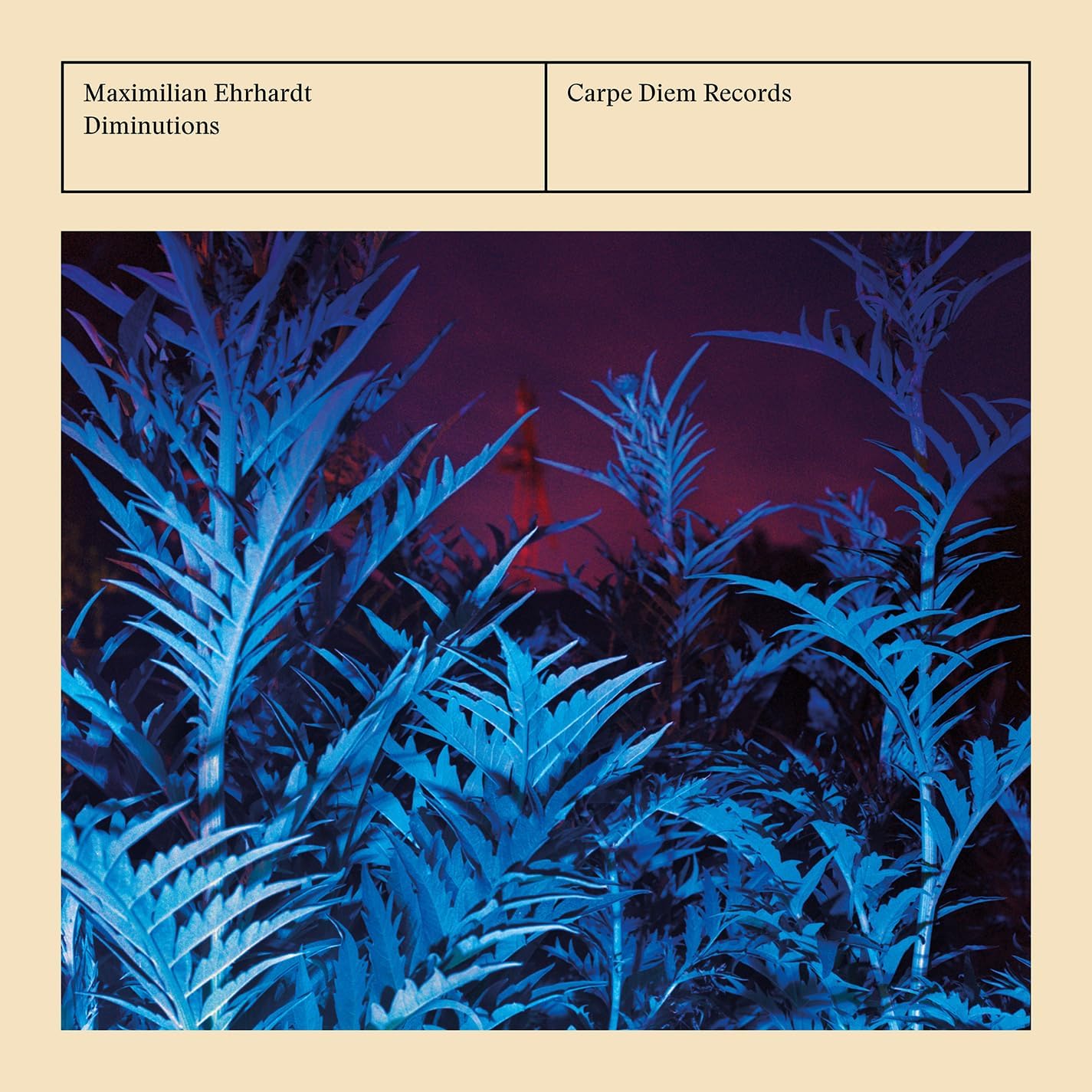 CD cover for "Diminutions" by Maximilian Ehrhardt, featuring blue foliage.