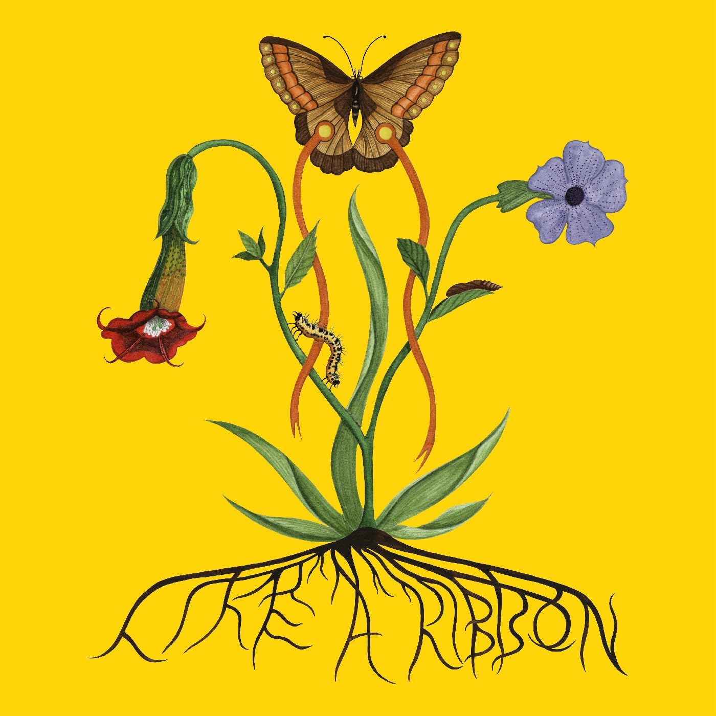 Yellow album cover with butterfly, flowers, caterpillar, and stylized text.