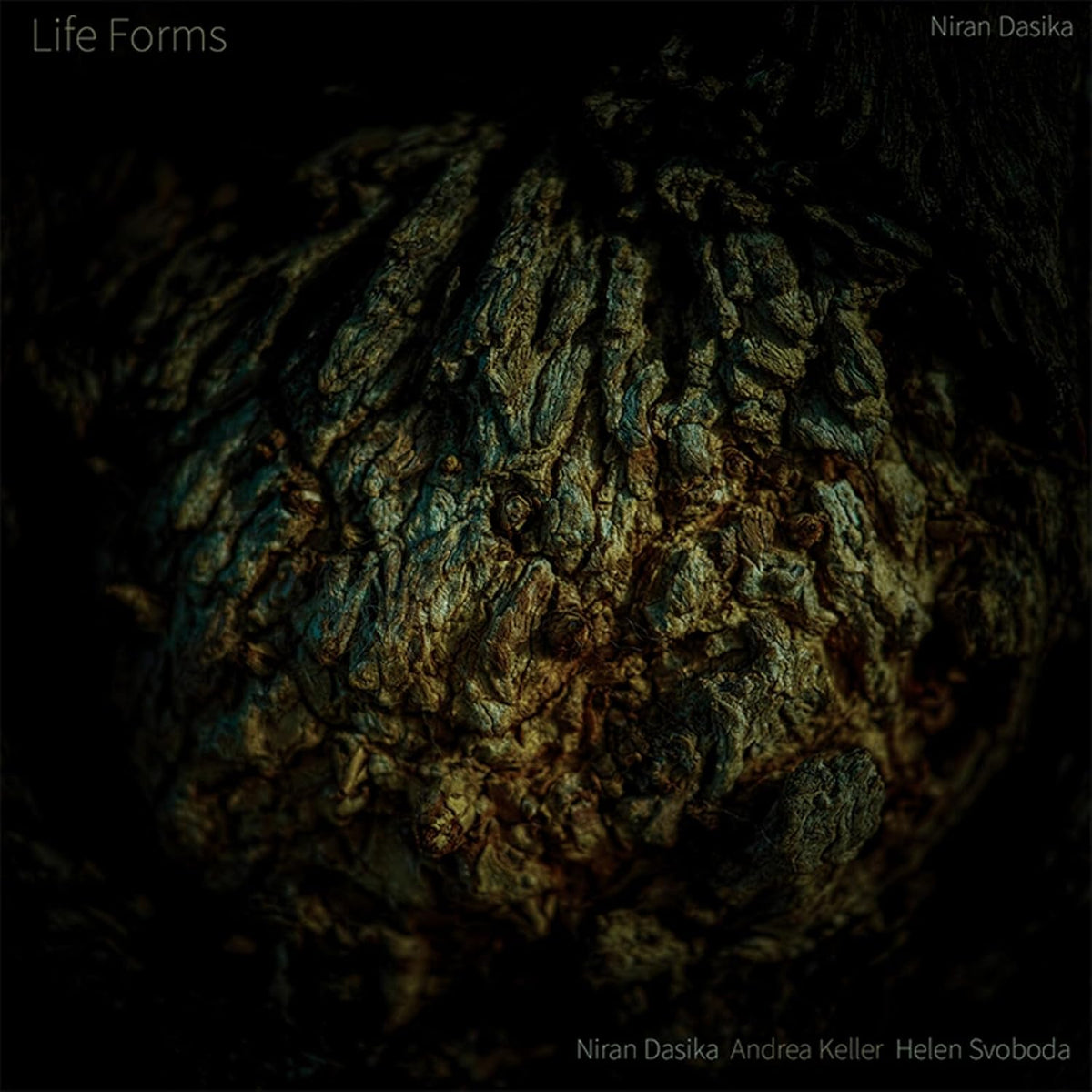 CD cover for "Life Forms" by Niran Dasika, featuring textured organic form.