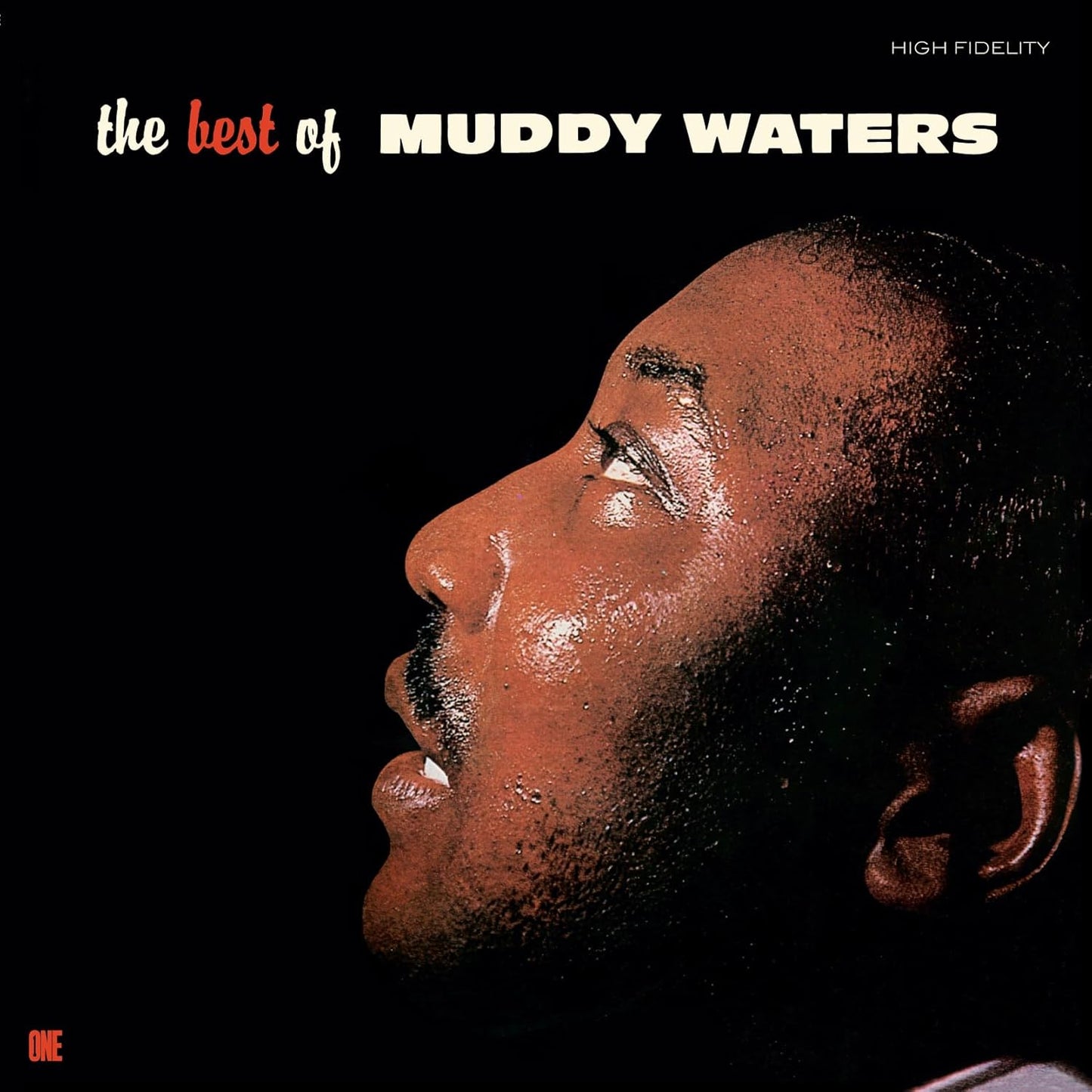 Album cover featuring a profile portrait of Muddy Waters against a black background.