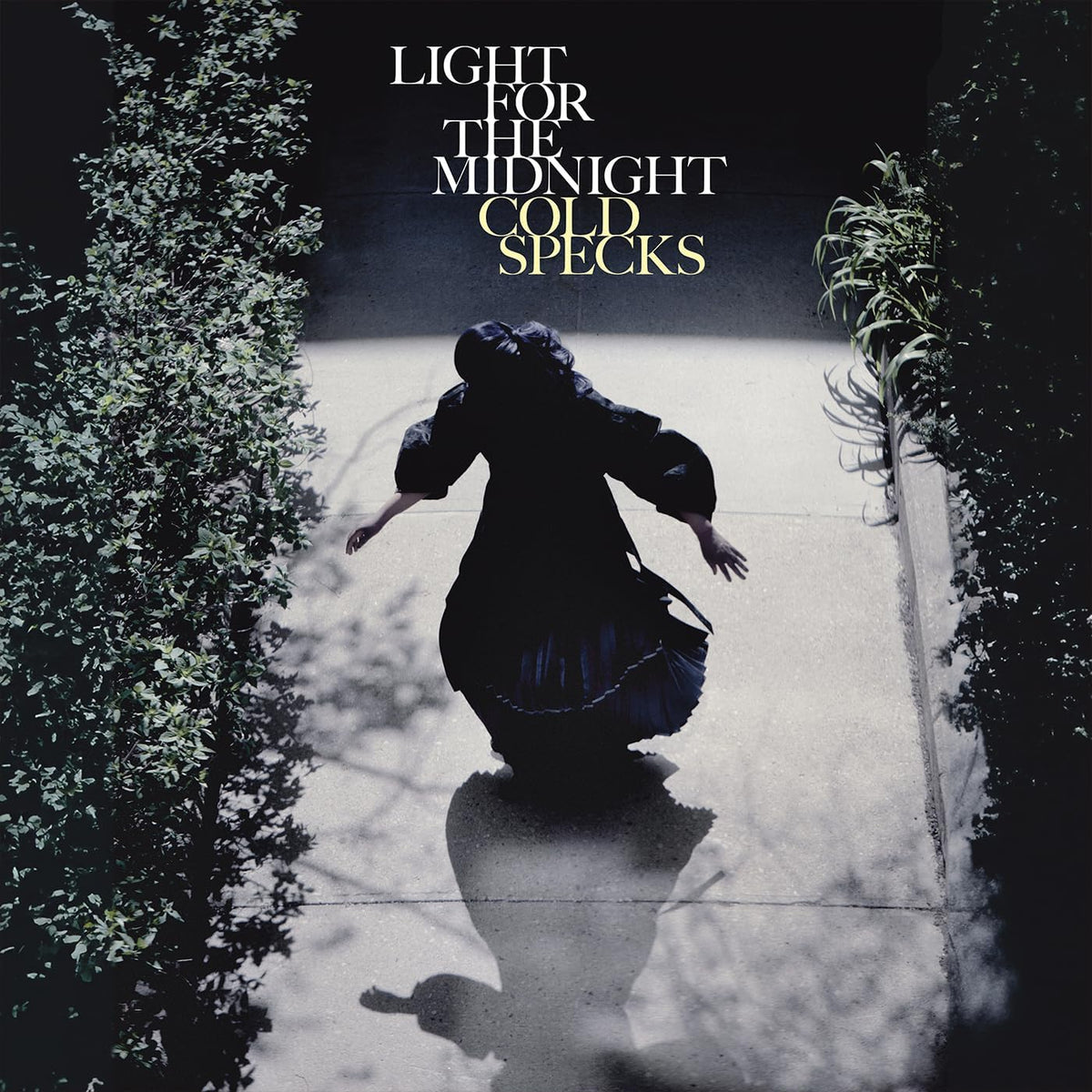 Album cover: figure with back to viewer, shadowed, foliage framing.