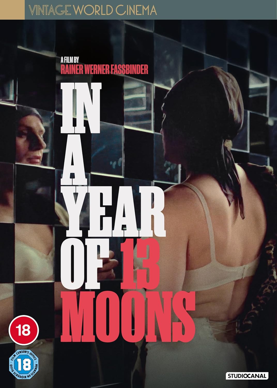 DVD cover for "In A Year Of 13 Moons" featuring two figures in a mirrored room.