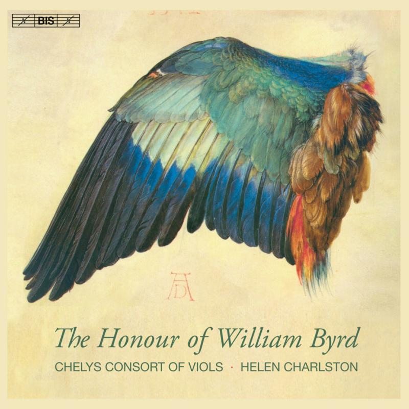 CD cover featuring a painted bird wing against a pale background.