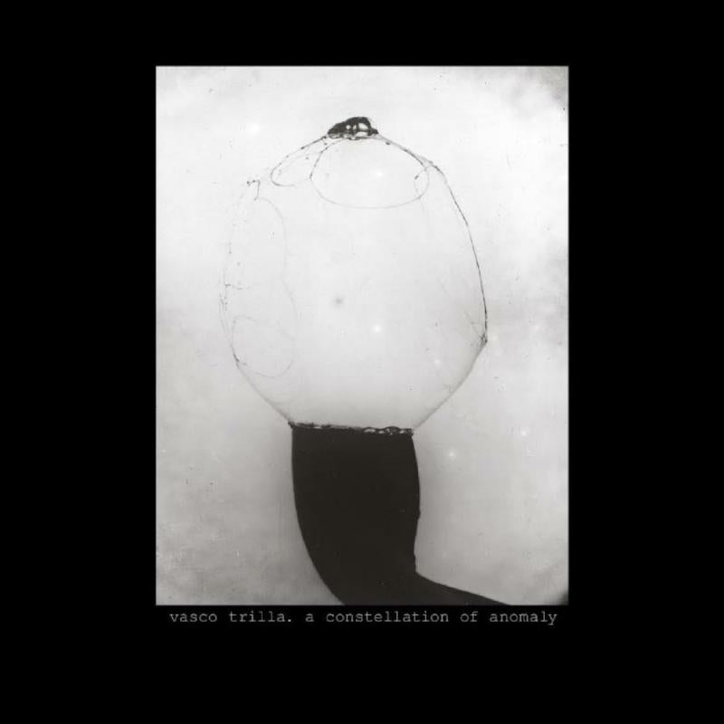 Black and white photo of a lightbulb with an insect inside.