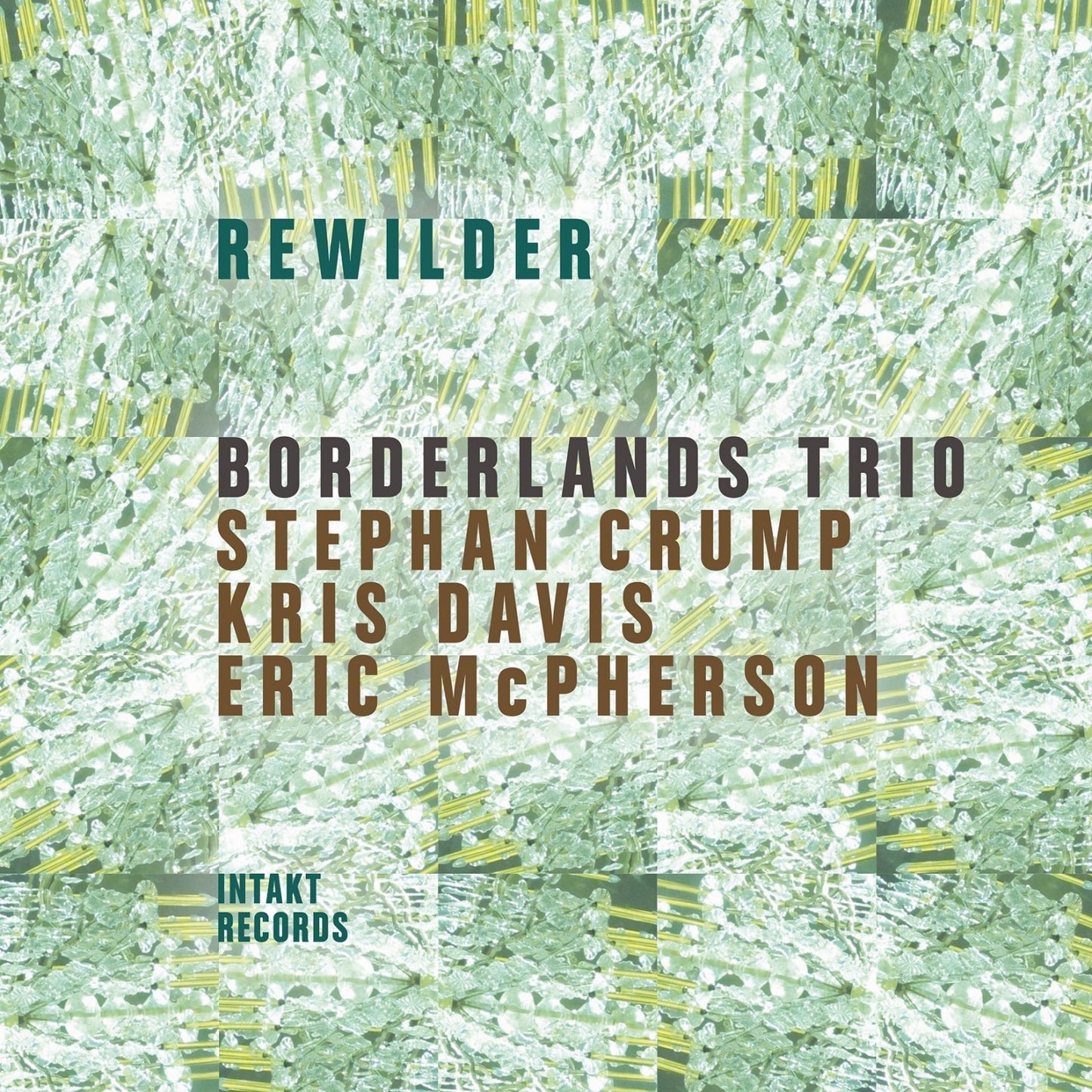 CD cover for Borderlands Trio’s “Rewilder” with green foliage design.