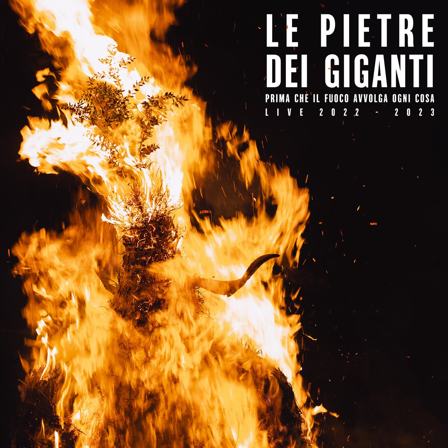 Vinyl album cover with a fiery image of a burning tree and horns.