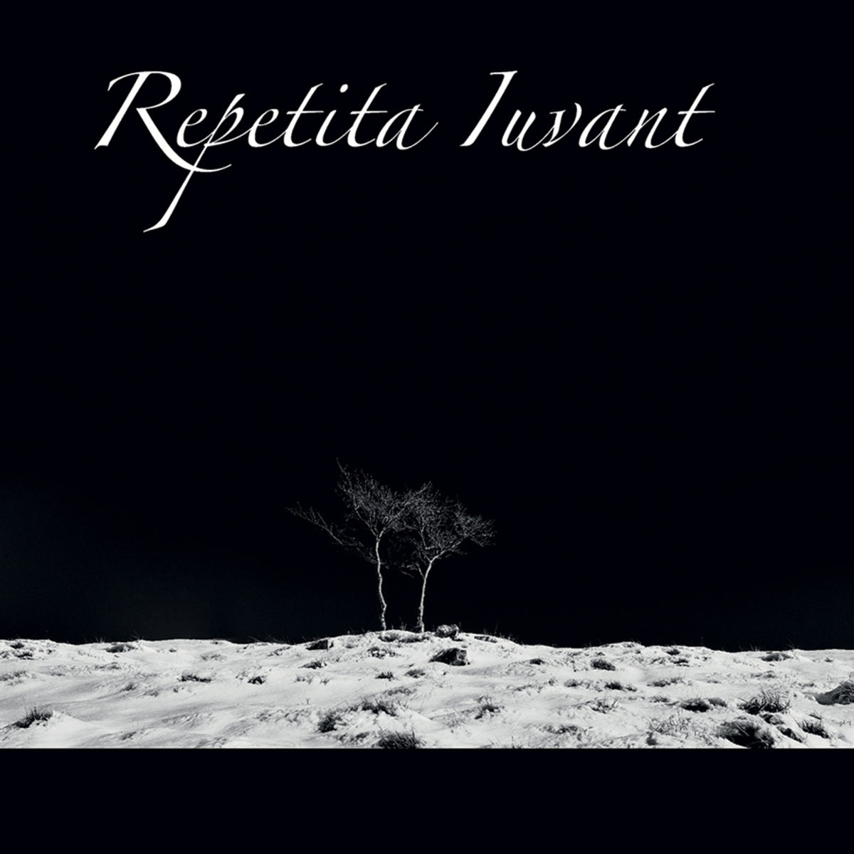 Black and white CD cover with text and a small, bare tree.