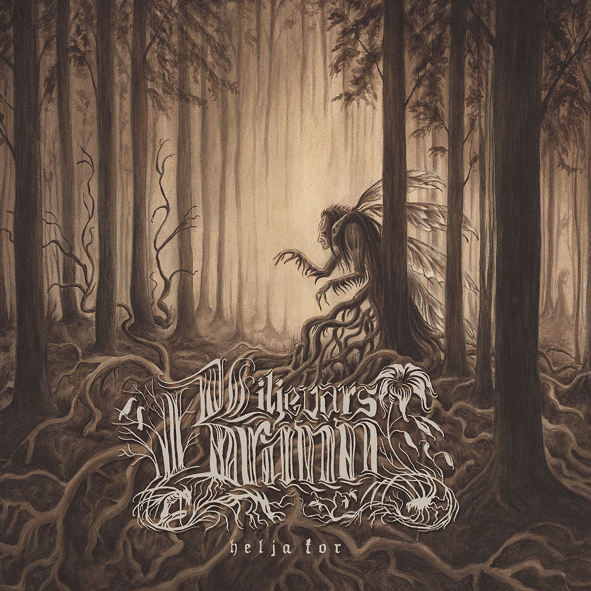 CD cover: Dark forest illustration with a figure emerging from roots.