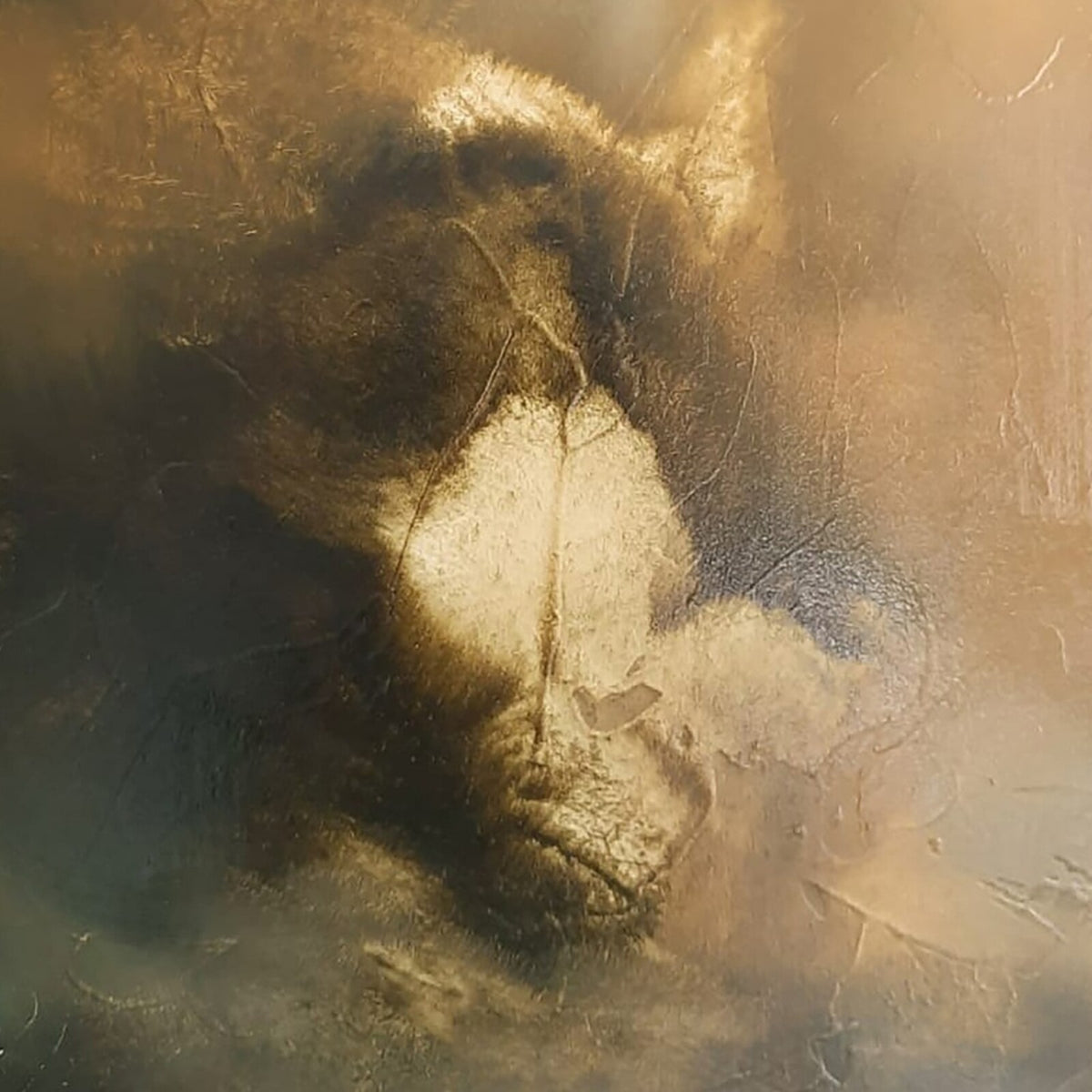 Close-up of a gorilla's face, textured and partially obscured.