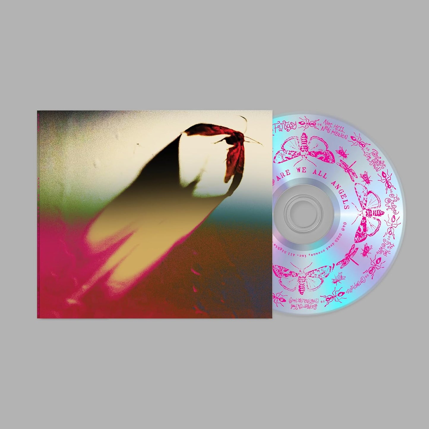Scowl album cover featuring a moth and a CD with butterfly designs.