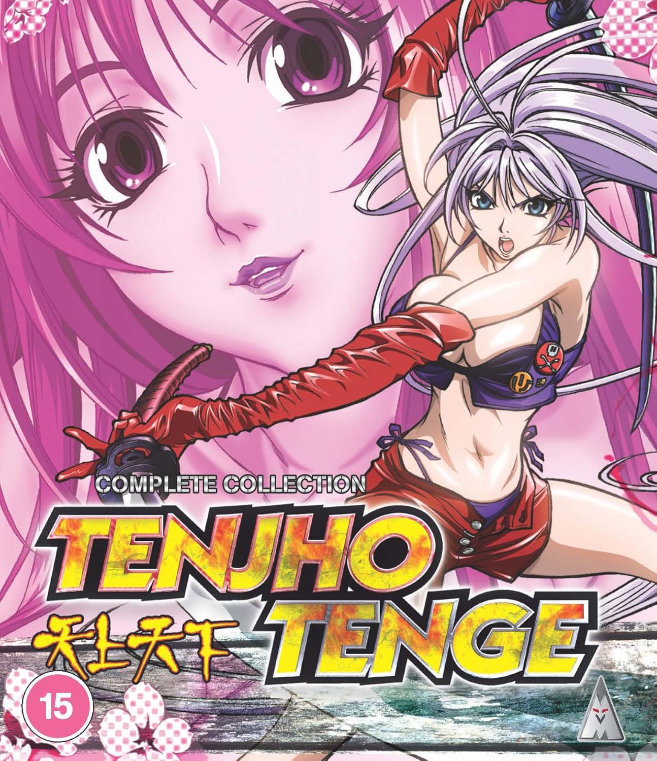 Anime cover for “Tenjho Tenge” featuring two young characters and bold text.