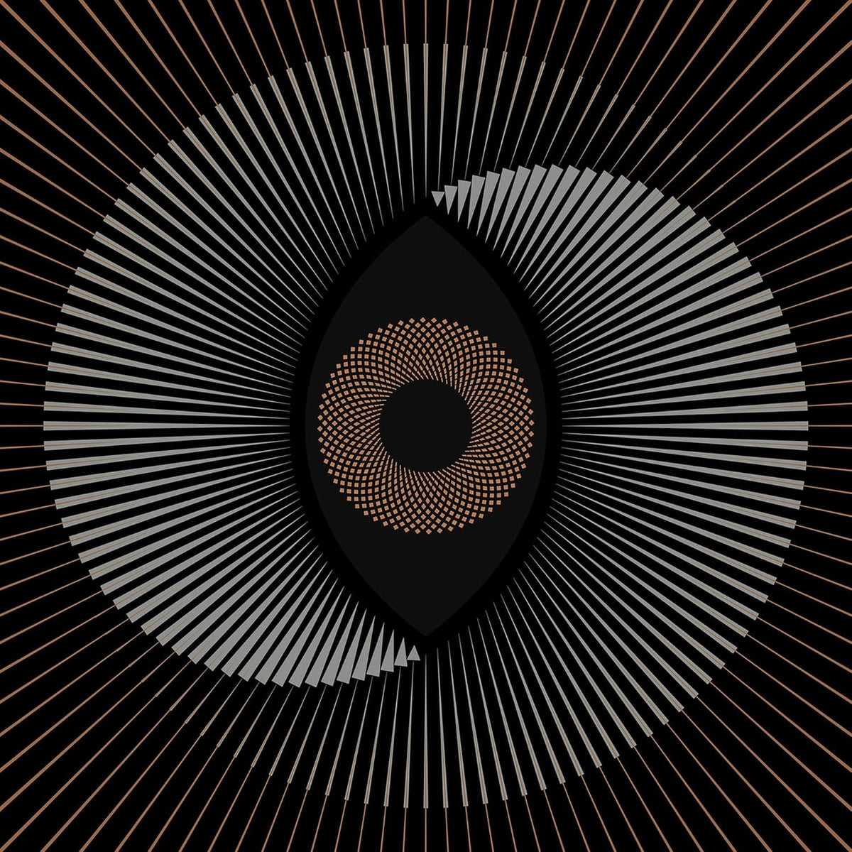 Vinyl record of Ocean's "Holocene (instrumental)" album, black cover.