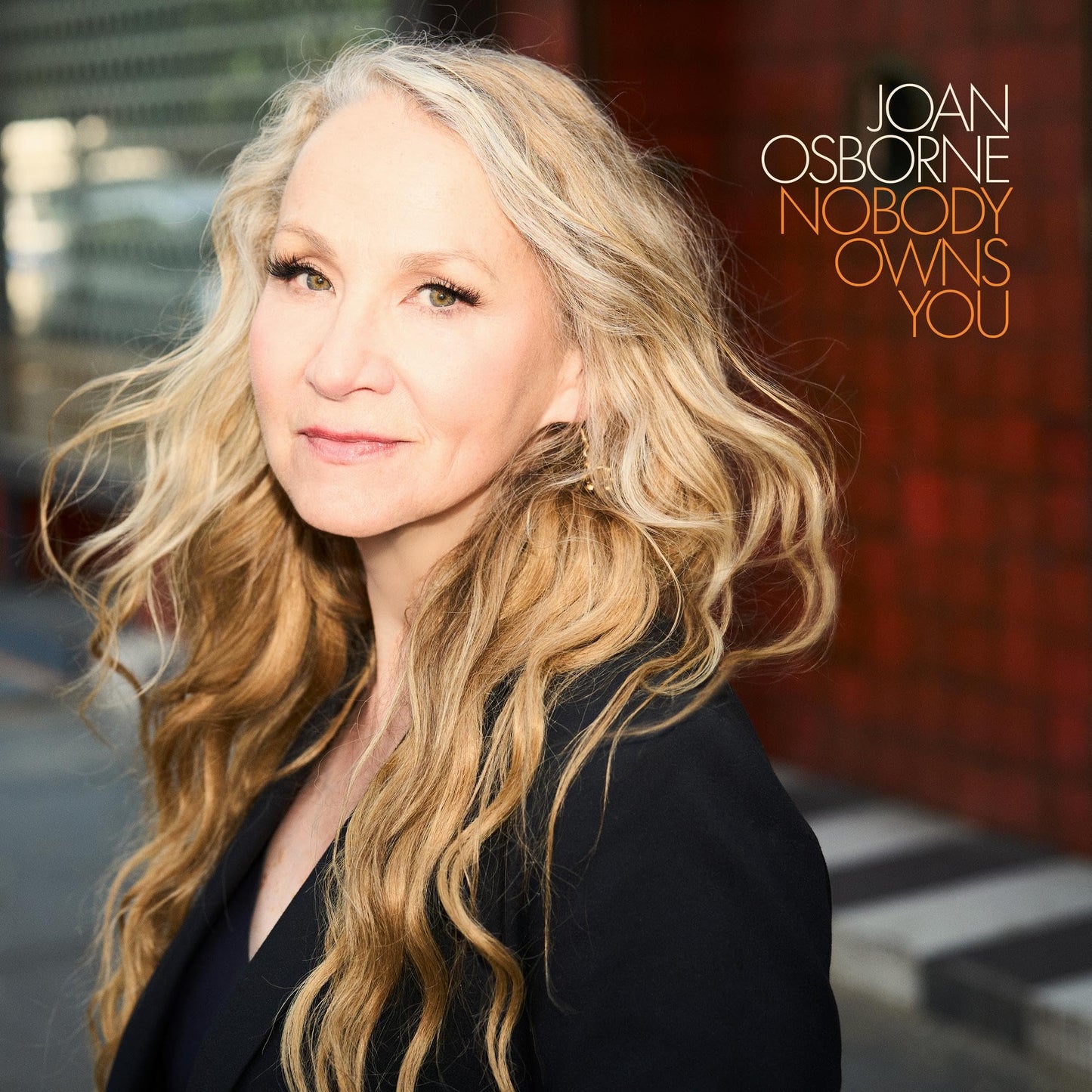 Joan Osborne album cover featuring a portrait of the singer.
