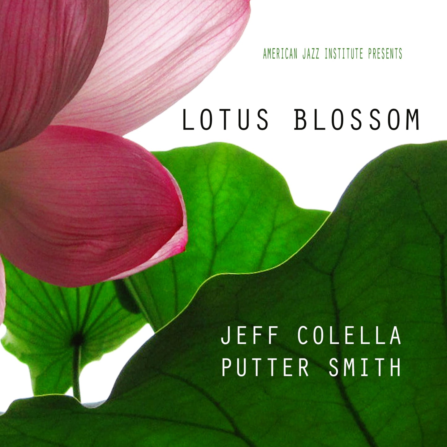 CD cover with a pink lotus blossom against a green leaf background.