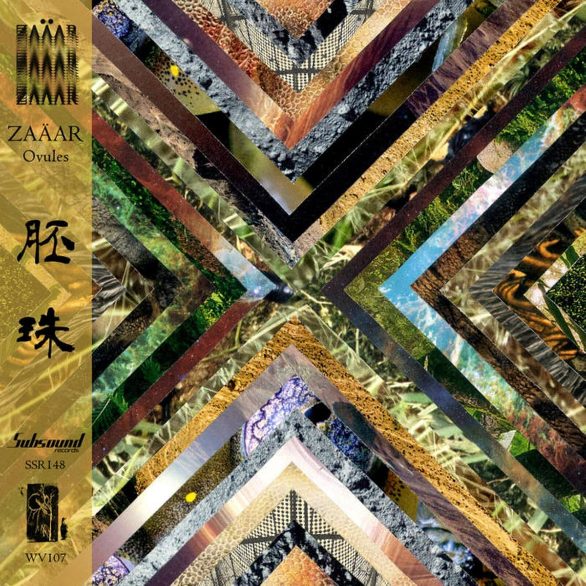 CD cover for Zaaar’s “Ovules” featuring abstract, fragmented nature imagery.