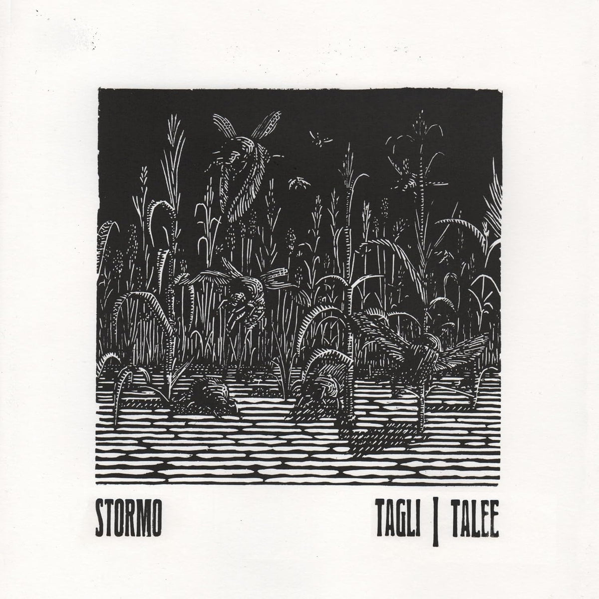 Black and white linocut of plants and text, "Stormo - Tagli/talee" CD.