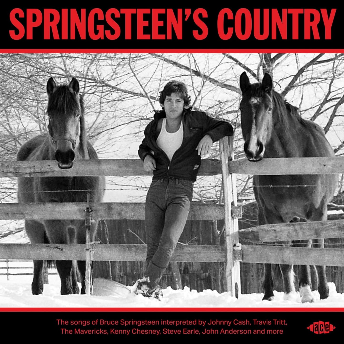 CD album cover titled Springsteens Country featuring a landscape illustration of a rural road.