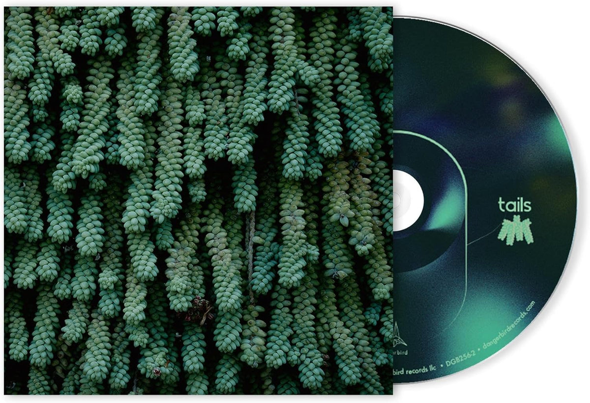 CD case with a green sedum plant background and abstract design.