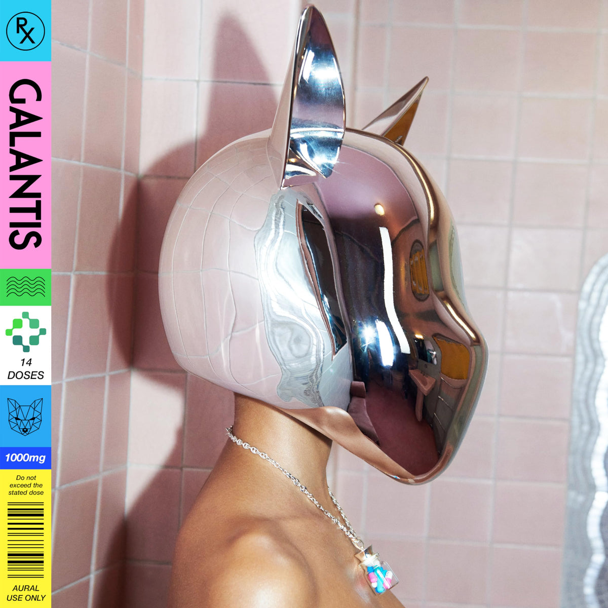 Person wearing a large, reflective silver cat head mask.