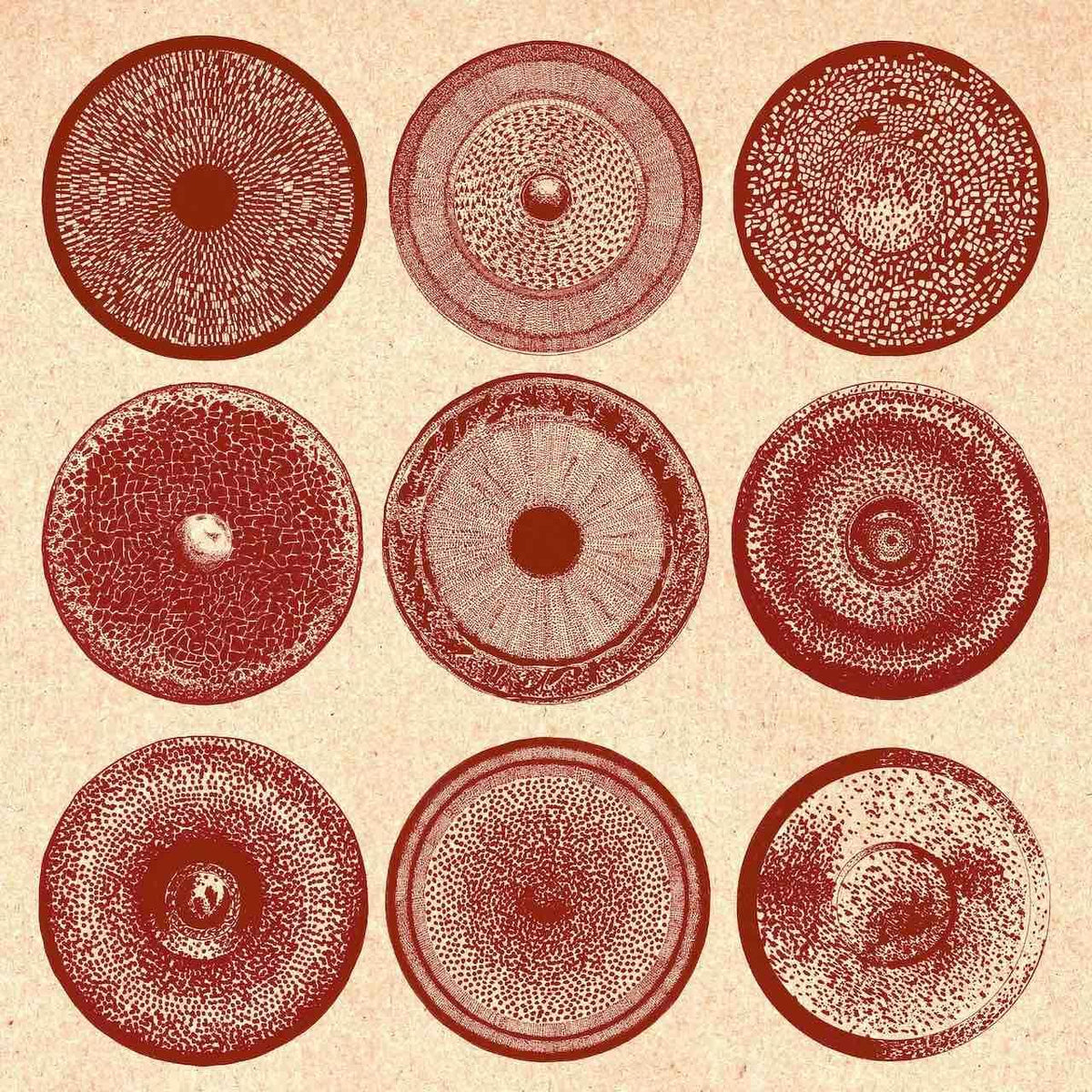 CD cover with nine concentric, textured, reddish-brown circular designs.