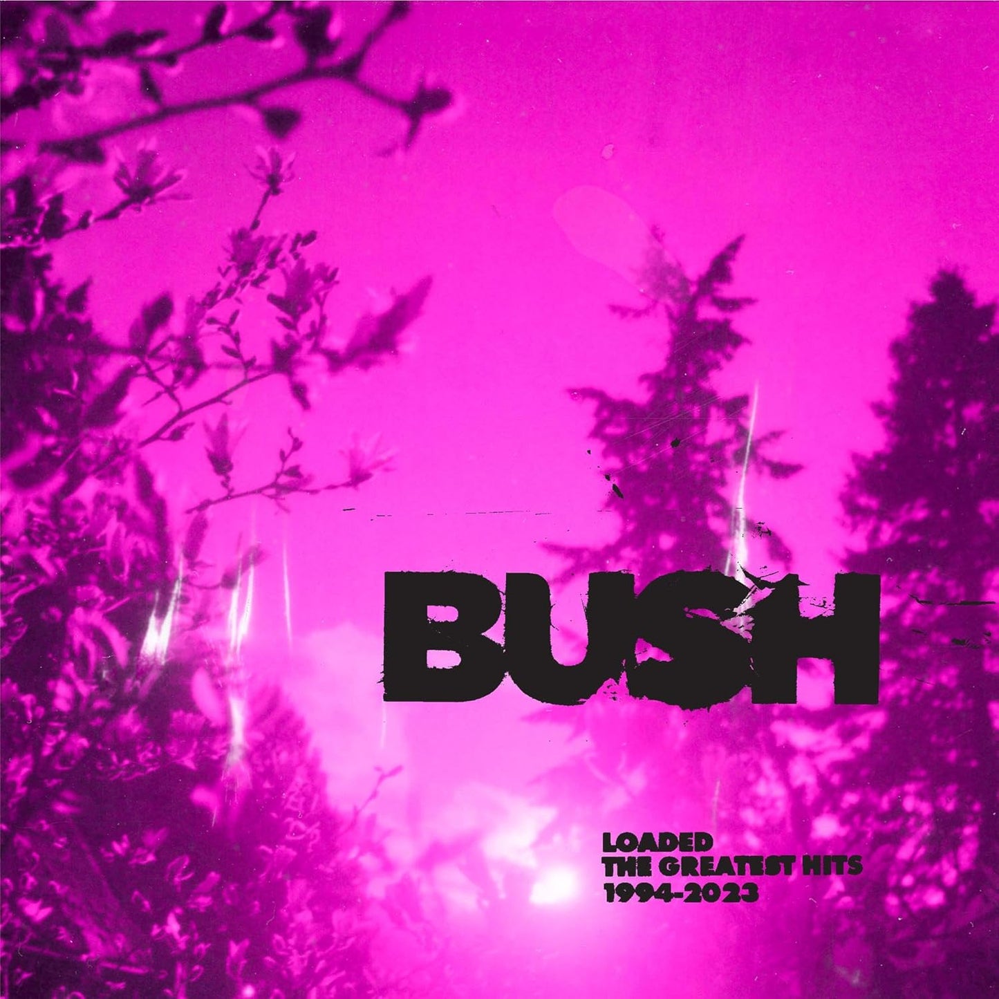 Bush album cover, pink foliage background, bold white text "BUSH".