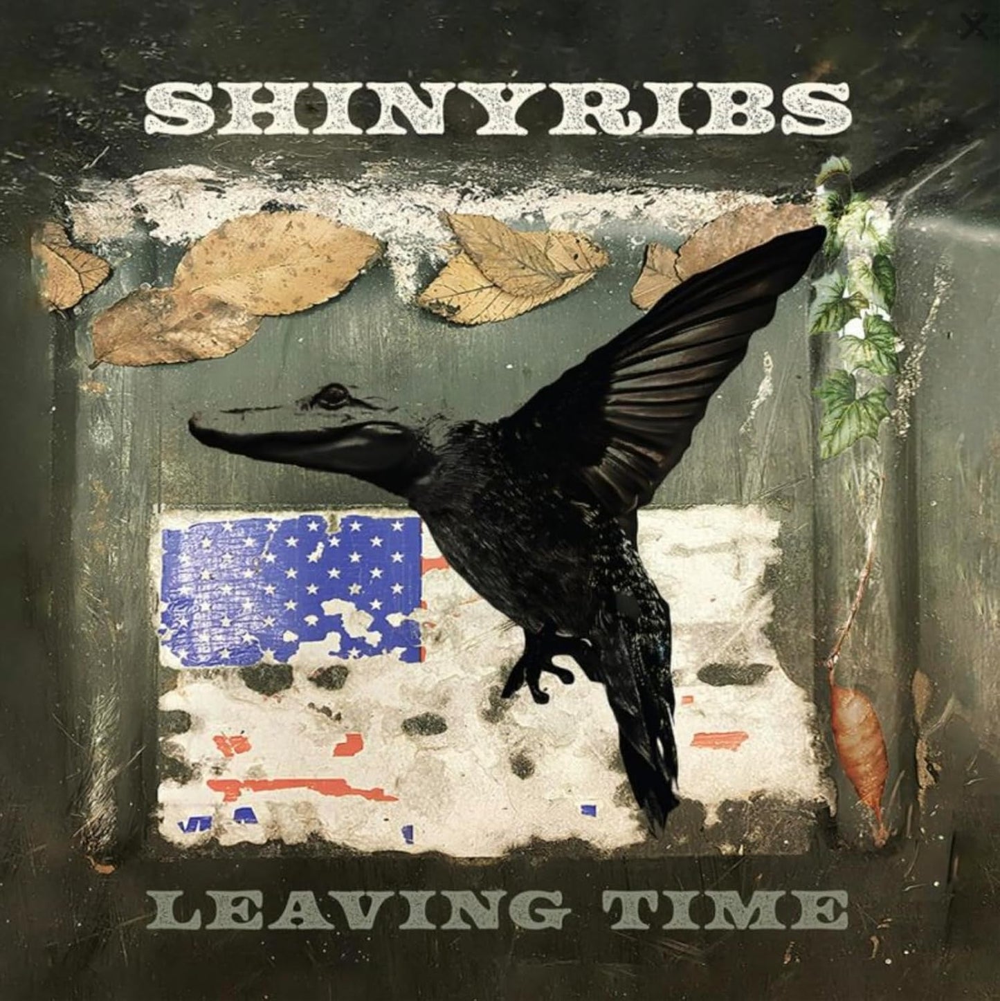 Shinyribs album cover: bird over distressed American flag background.