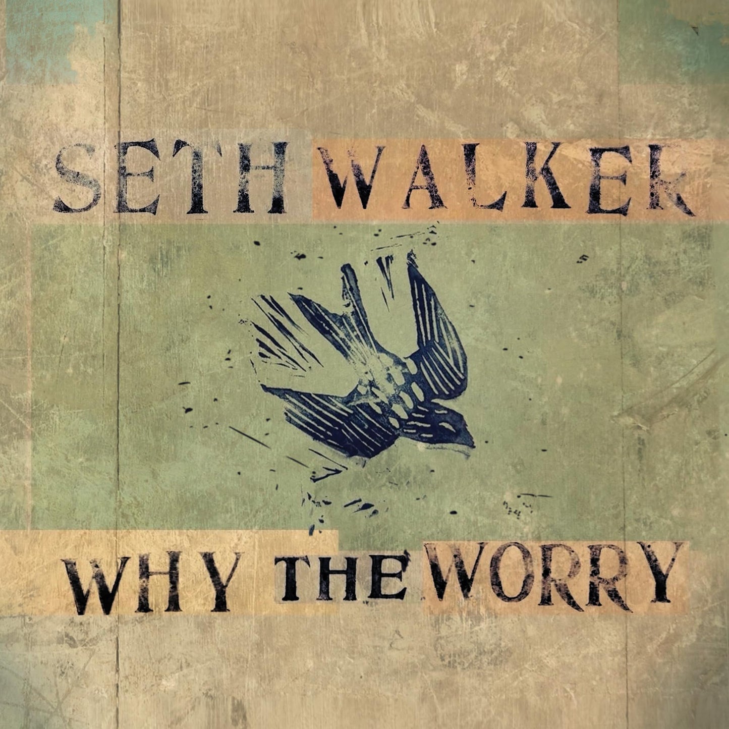 Seth Walker album cover, “Why The Worry,” featuring a bird illustration.