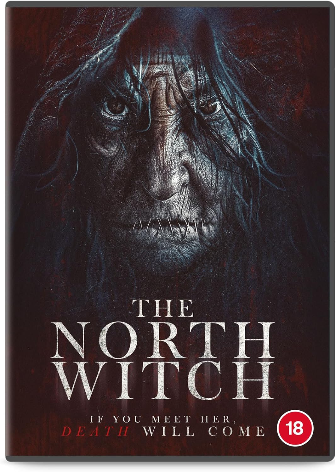 DVD cover for "The North Witch" featuring a close-up of an aged, frightening face.