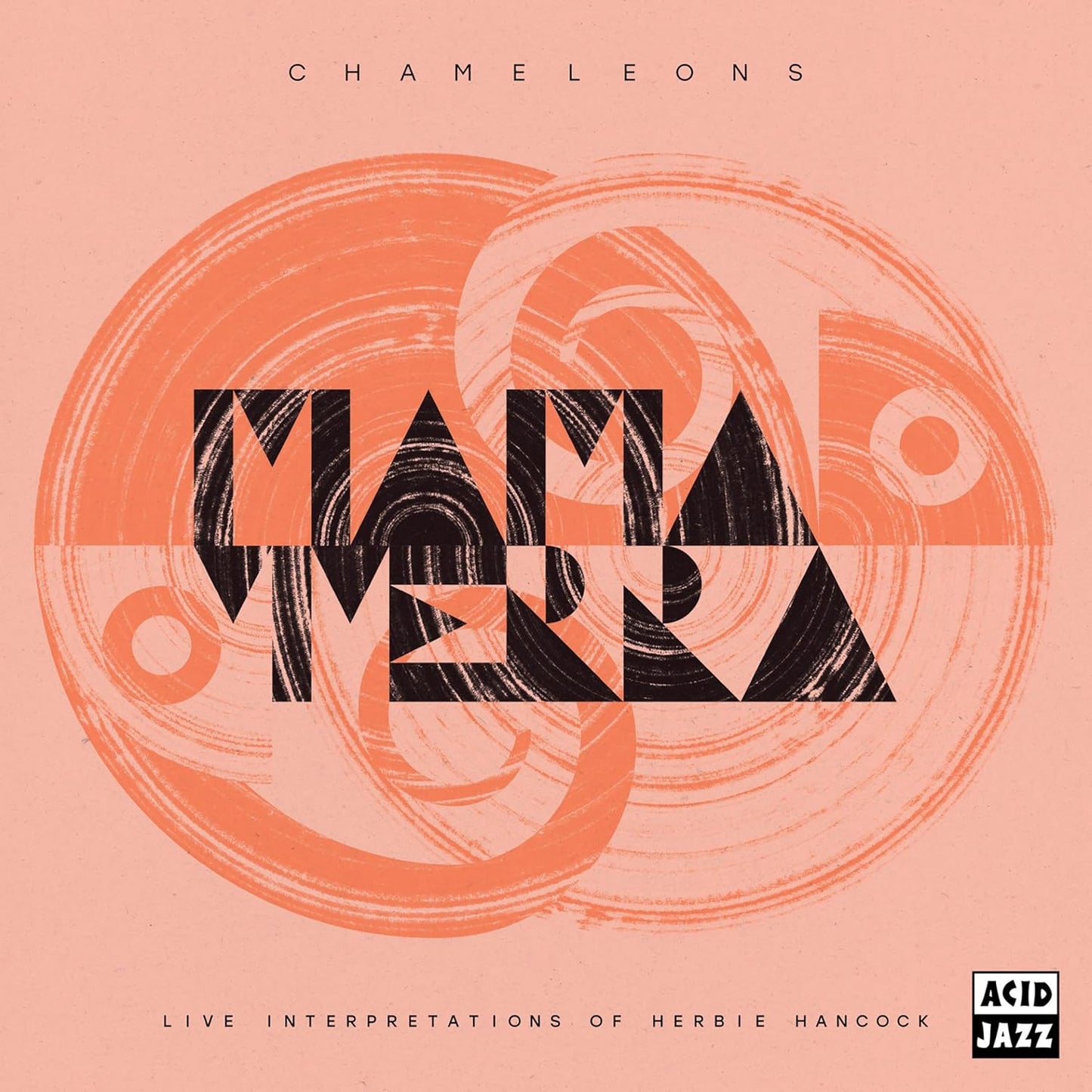 CD cover for “Mama Terra - Chameleons” with abstract geometric text.