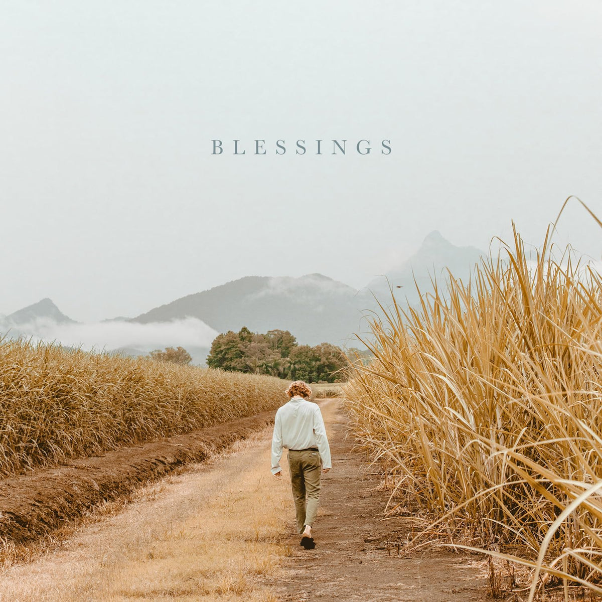 Album cover: person walking down a path through tall grass, mountains.