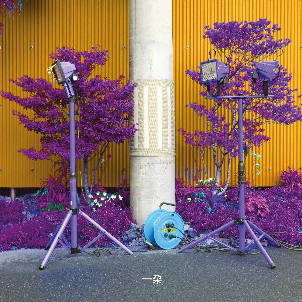 Album cover with purple bushes, spotlights, and a concrete pillar.