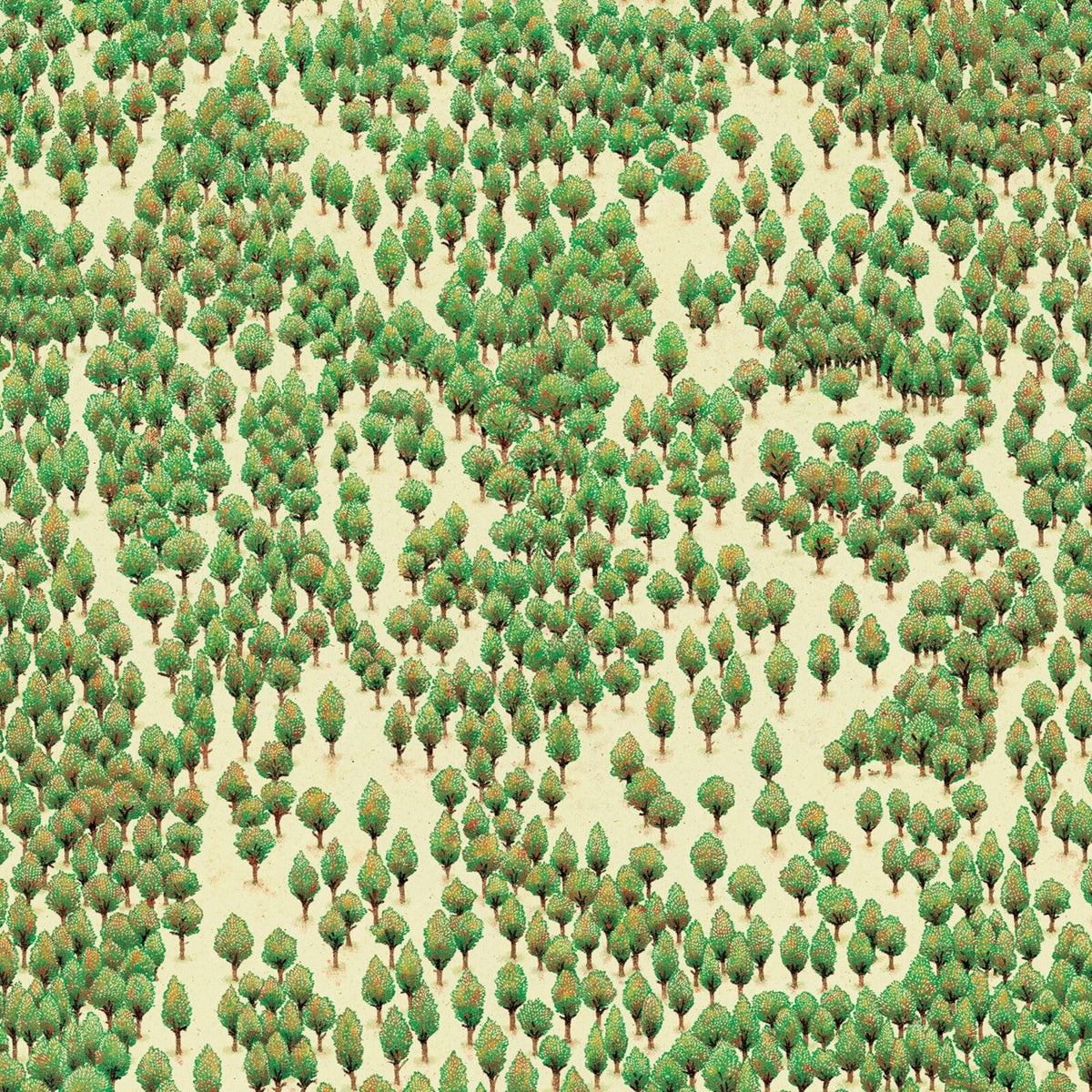 Overhead view of a dense, patterned forest with green and beige tones.