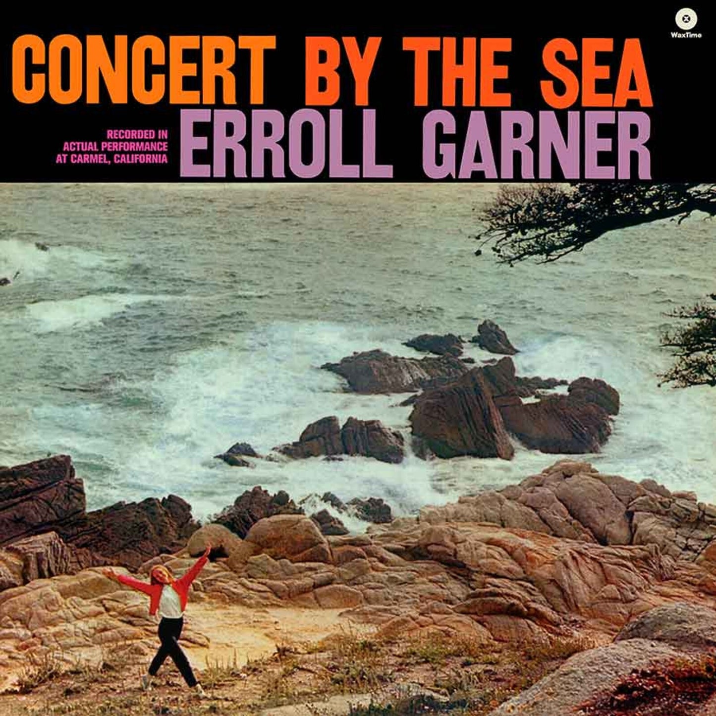 Vinyl cover showing a person standing on a rocky coast overlooking the ocean.