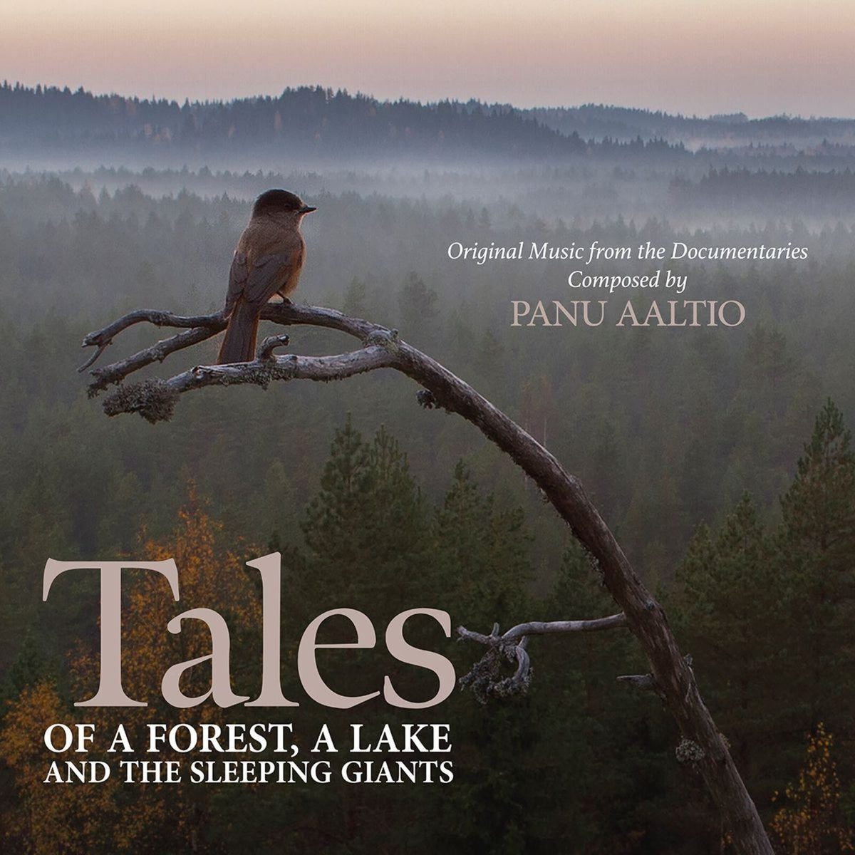 CD cover: bird on branch with forest background and title text.
