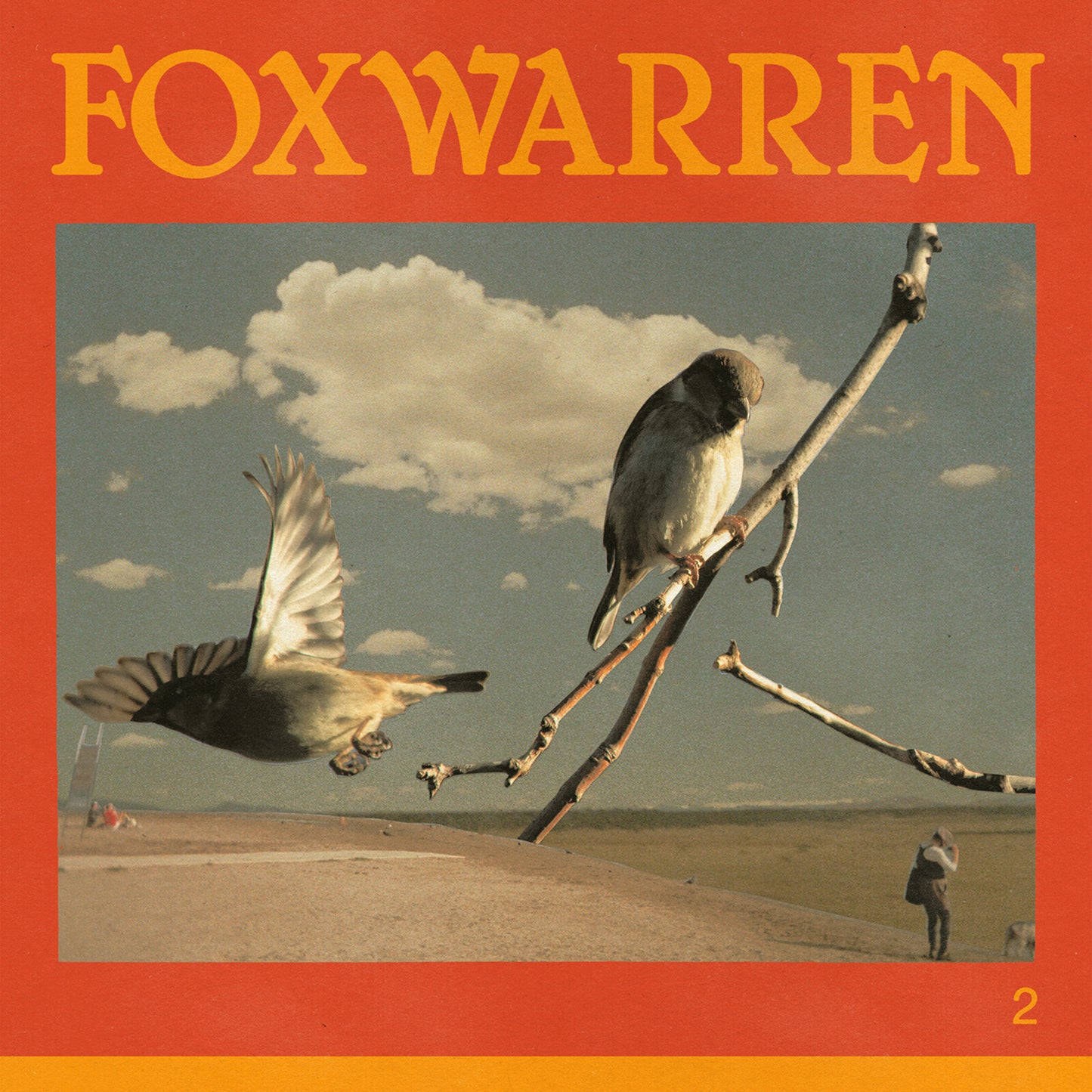 Album cover for Foxwarren - 2, featuring birds in a landscape.