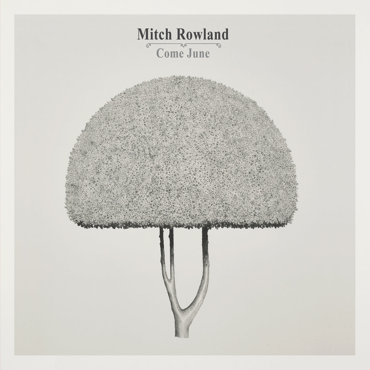 CD cover for “Come June” by Mitch Rowland, featuring a sketched tree.