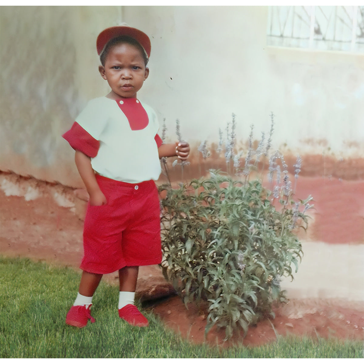 Young boy in red shorts and cap stands beside lavender bush.