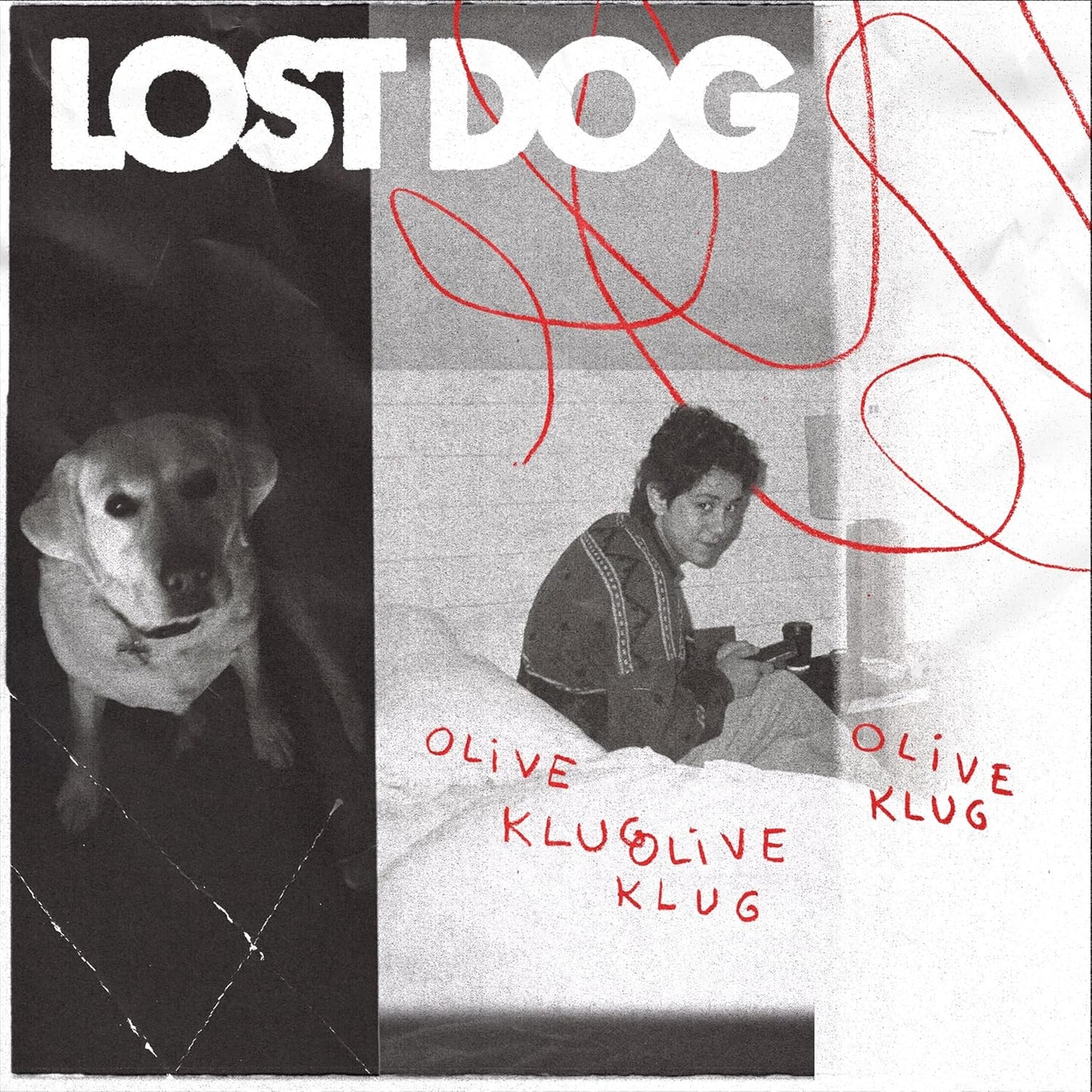 Vinyl record cover: dog portrait, person with guitar, red string details.