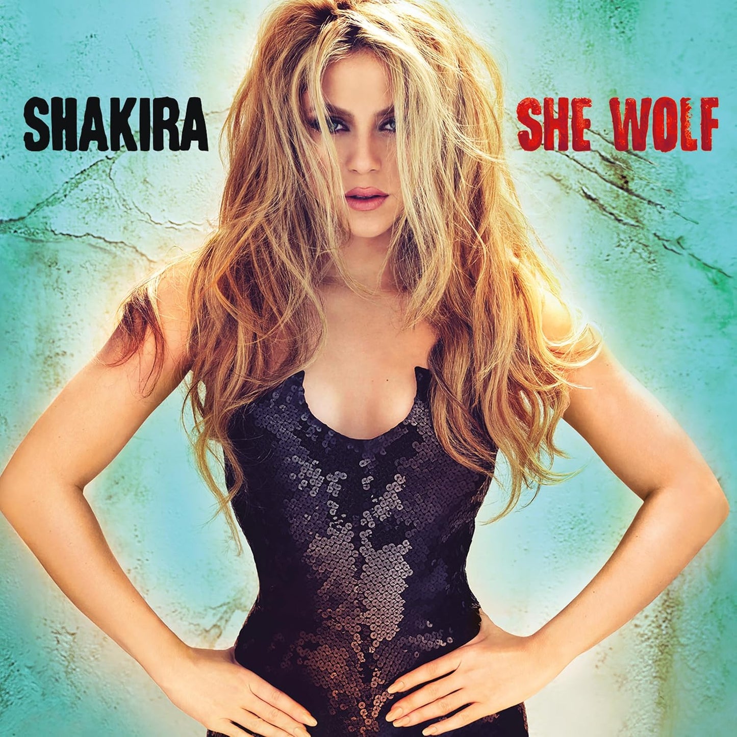 Shakira album cover, "She Wolf", featuring the artist with long wavy hair.