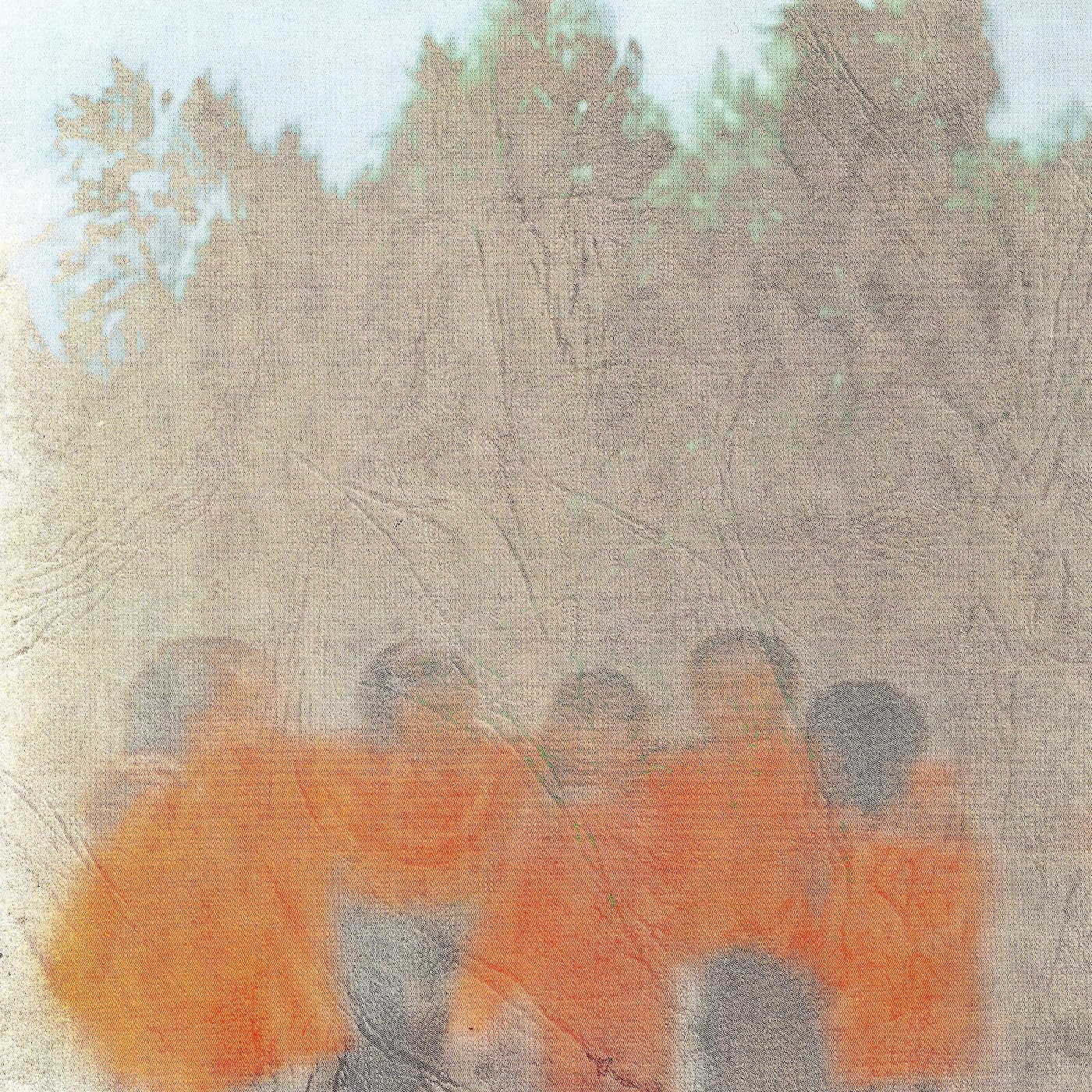 Abstract vinyl record cover with blurred orange and grey figures, trees.