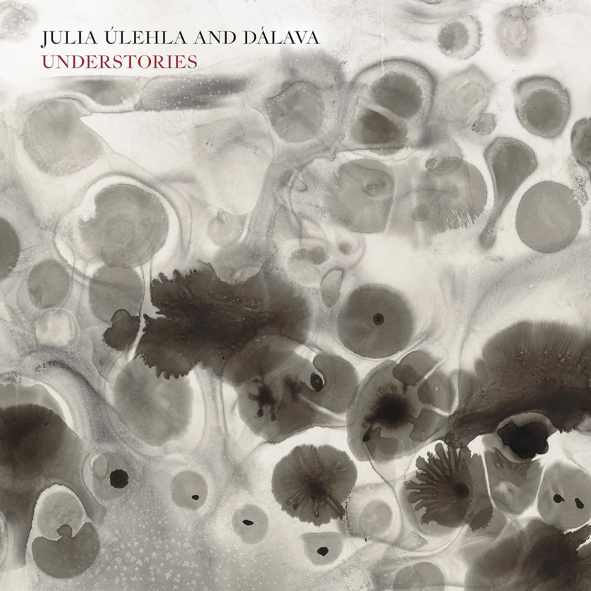 CD case featuring artwork likely depicting forest scenes, titled "Understories" by Julia Ulehla & Dalava.