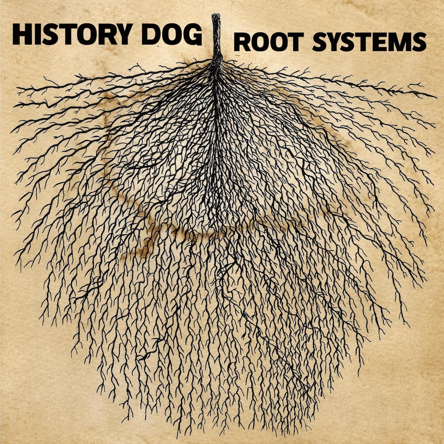 Vinyl record of History Dog’s “Root Systems” album, black cover art.