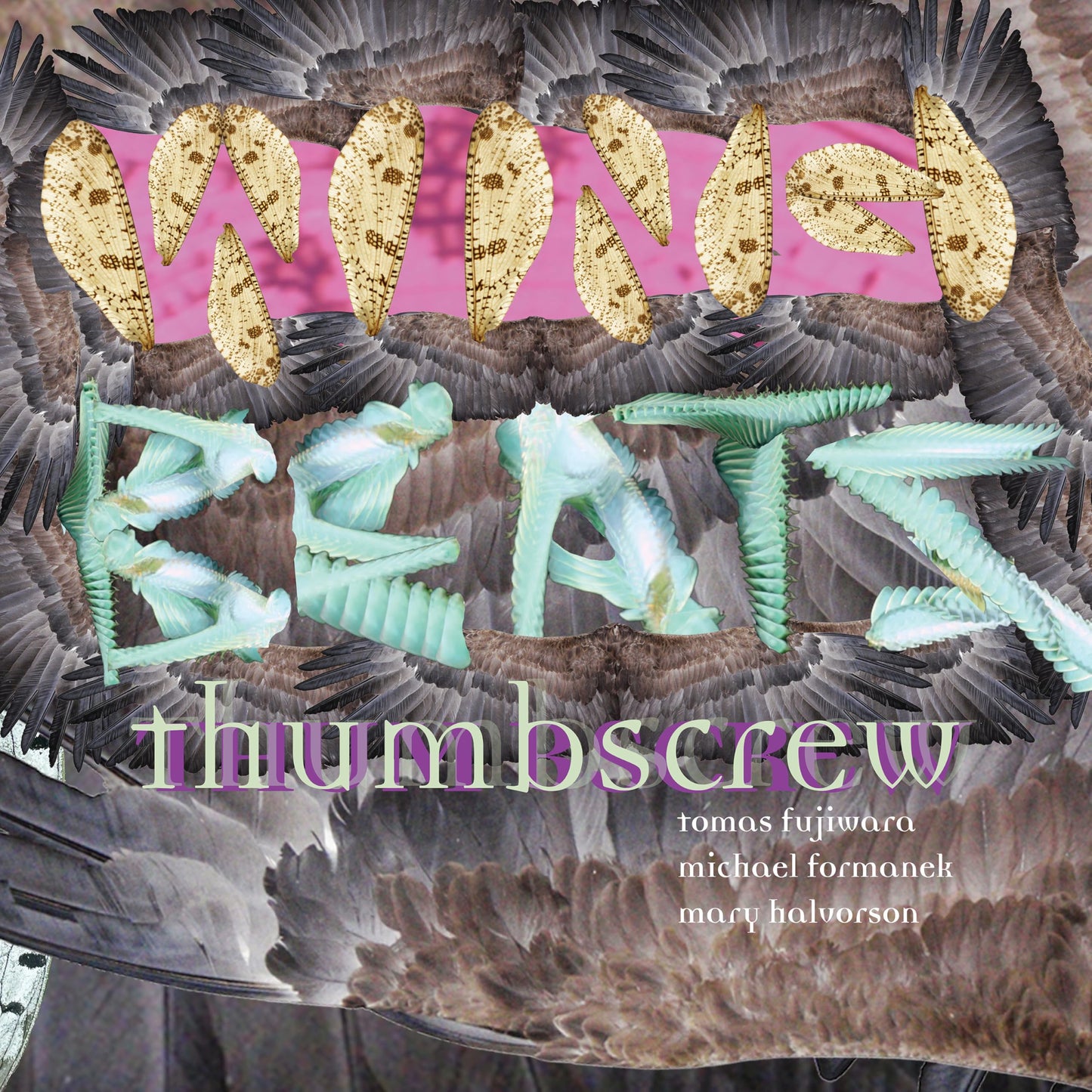 CD cover for Thumbscrew’s “Wingbeats” featuring abstract bird wings.