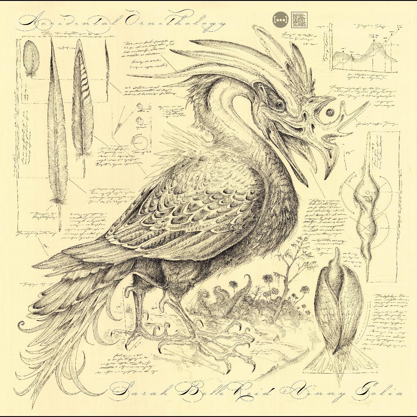 Vintage-style CD cover with detailed illustration of a fantastical bird.