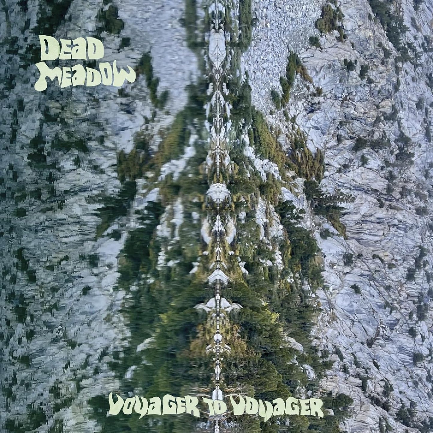 Vinyl record cover for Dead Meadow’s “Voyager To Voyager” with forest imagery.
