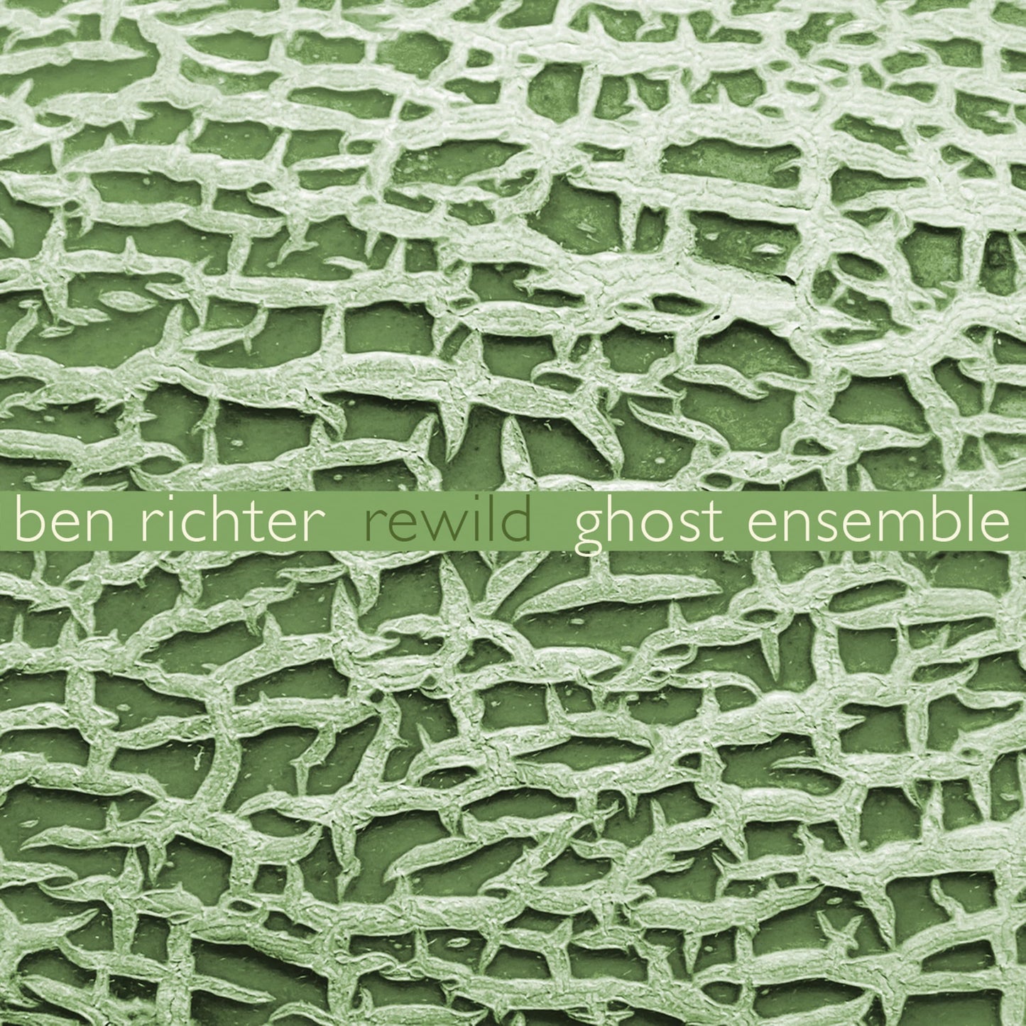 CD cover for Ben Richter’s “Rewild” with a green, textured pattern.