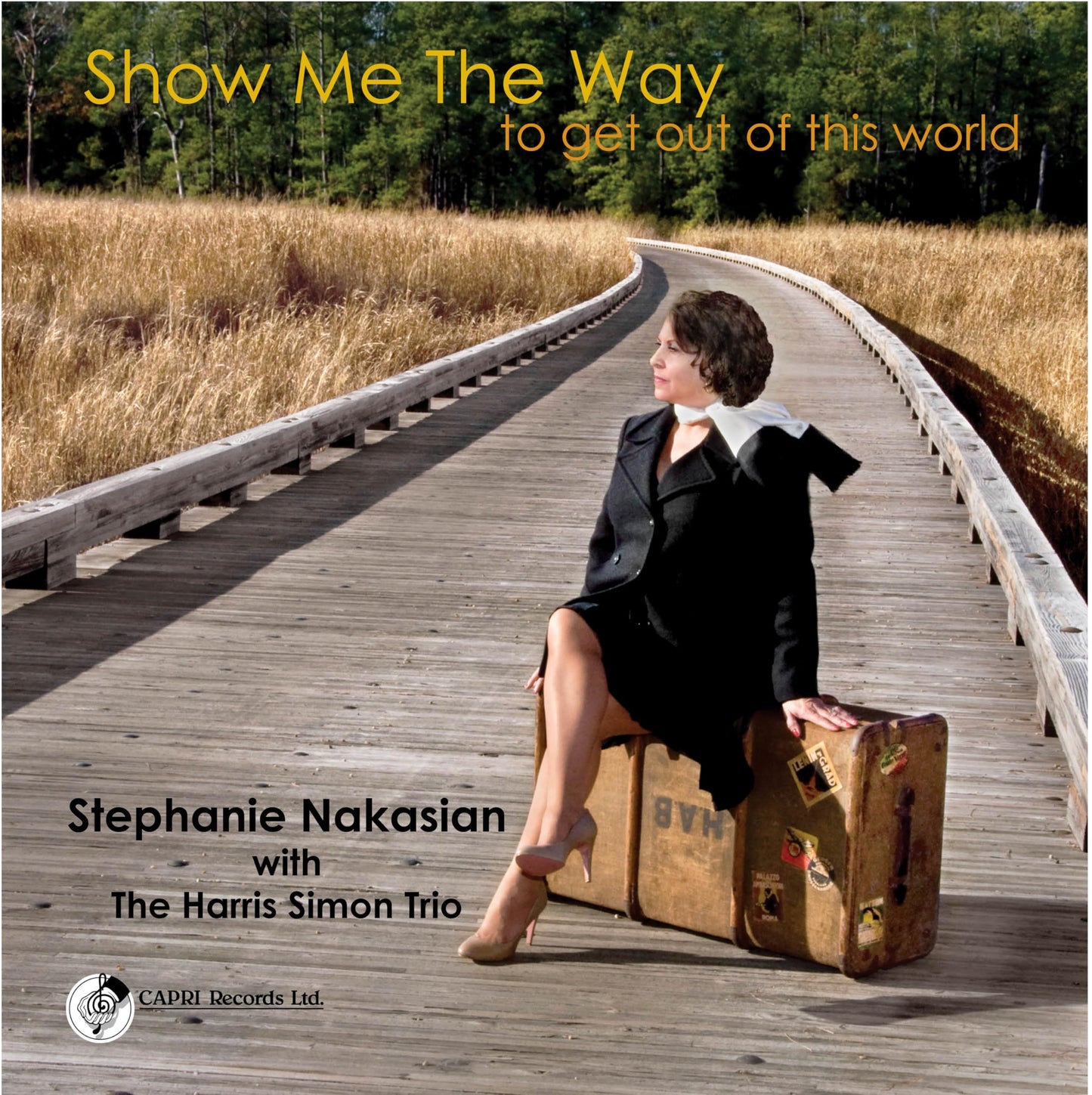 CD cover: woman with suitcase sits on a wooden bridge in a field.