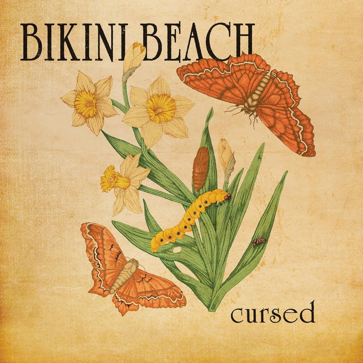 Vinyl album cover with floral and insect illustrations, titled "Cursed".