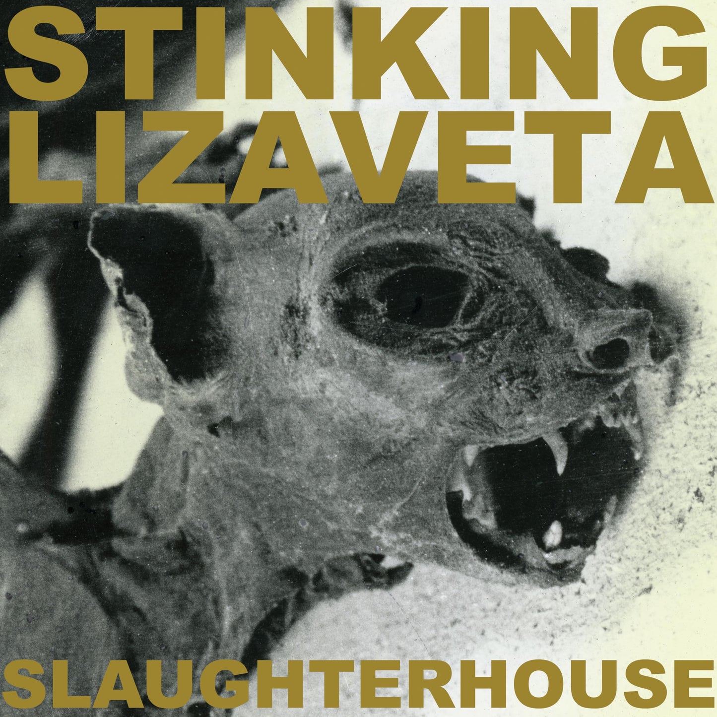 CD cover: distressed bear image with band name "Stinking Lizaveta.